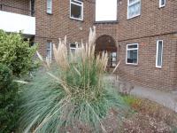 One bedrom flat for rent, Kimber Road, Wandsworth, SW18 4PA